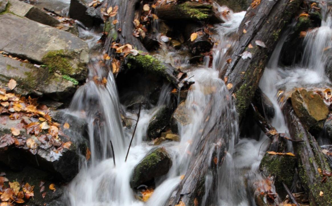 Mingo Falls.JPG
